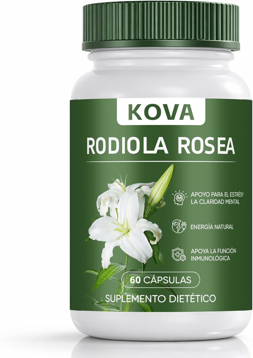 WEERSHUN KOVA Rhodiola Rosea Capsules | Rhodiola Rosea Extract Supplement, Energy & Daily Stress Support, Immune Function Gluten-Free, Non-GMO, Vegetarian, 60 Capsules
