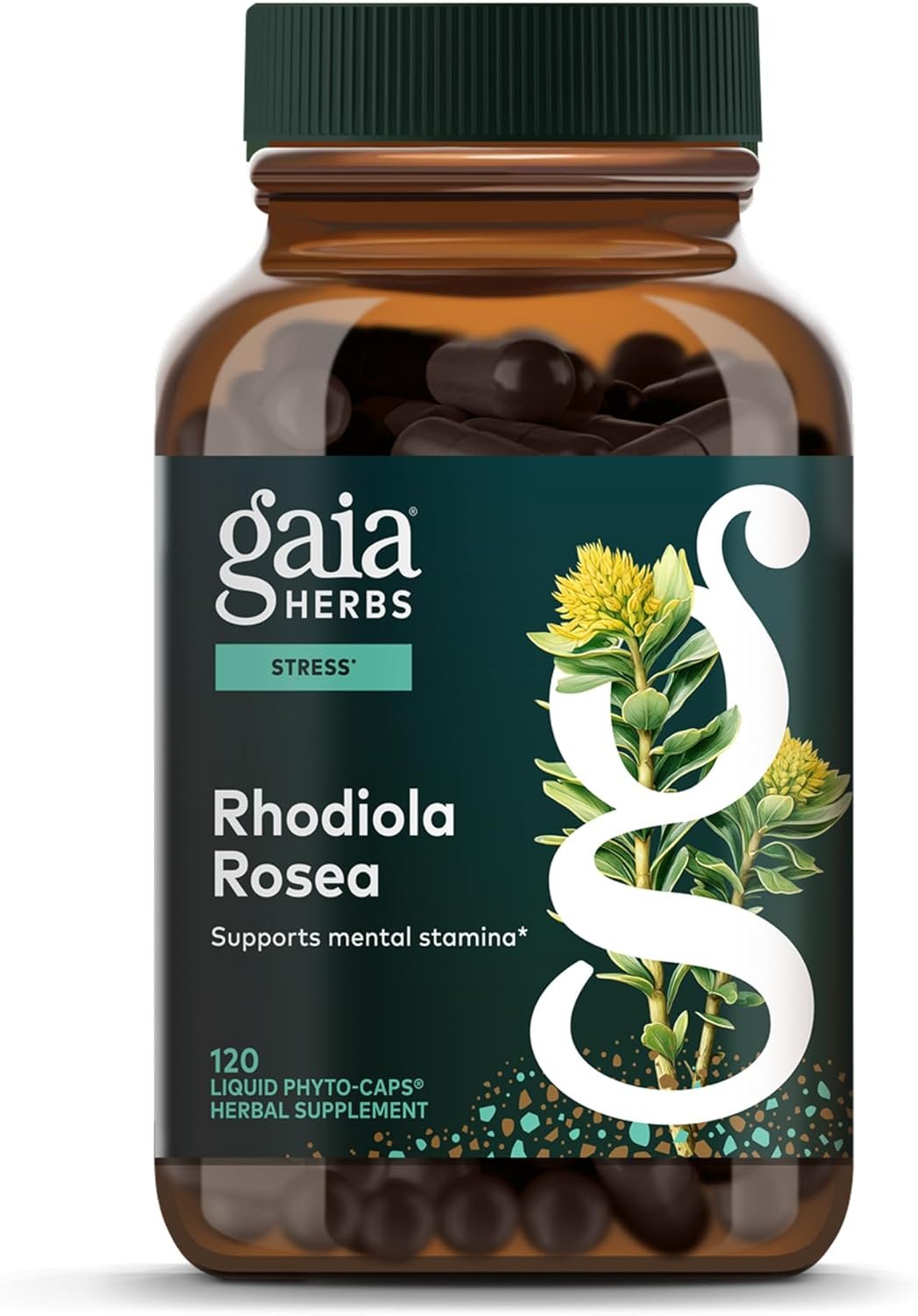 Gaia Herbs Rhodiola Rosea – Stress Support Supplement Traditionally for Supporting Healthy Stamina & Endurance* – with Siberian Rhodiola Root Extract – 120 Vegan Liquid Phyto-Caps (120 Servings)